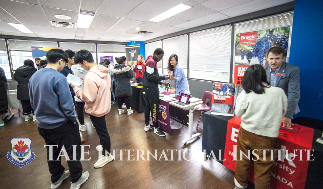 TAIE International Institute